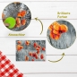 Preview: 10 Tischsets Platzsets abwaschbar Red Poppies von ARTIPICS mit kleinen Fehlern